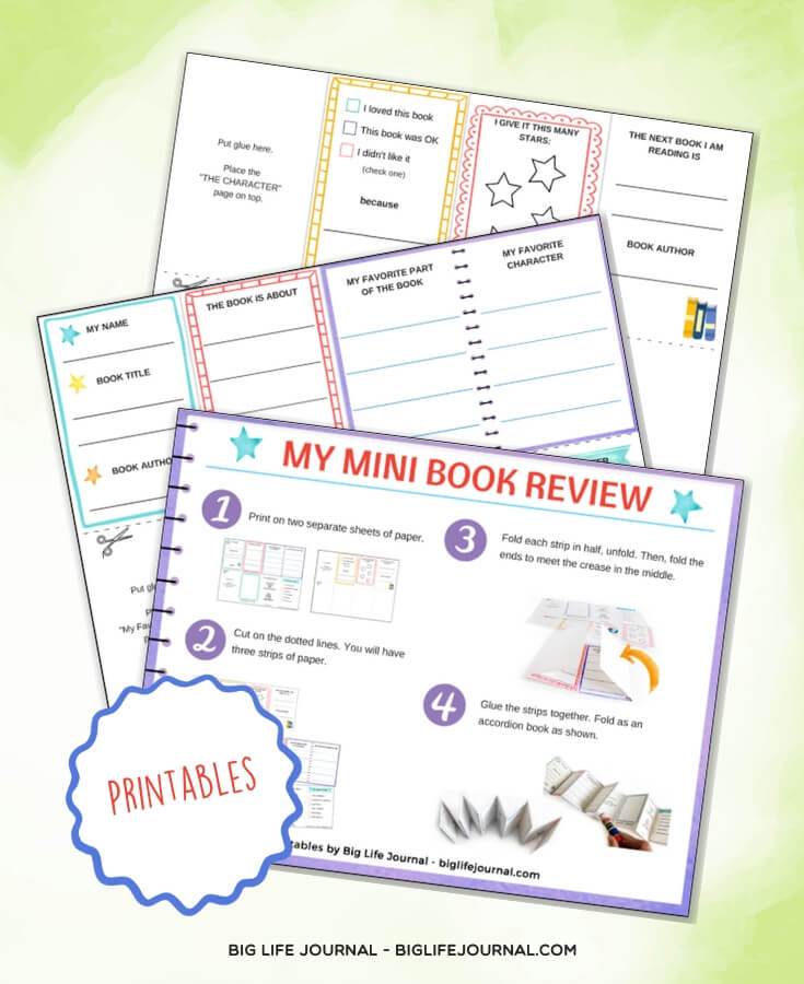 Book Review - Big Life Journal