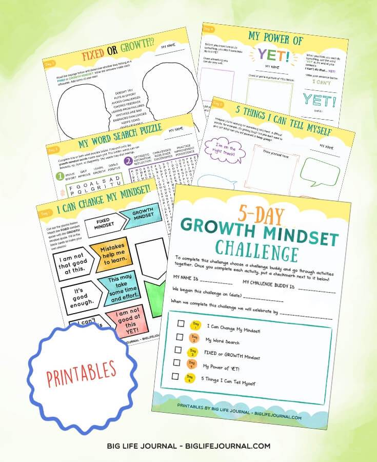 Growth Mindset Challenge - Big Life Journal