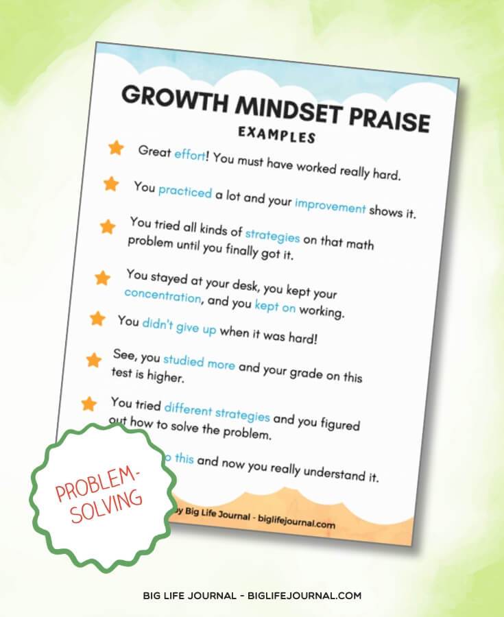 Praise - Big Life Journal
