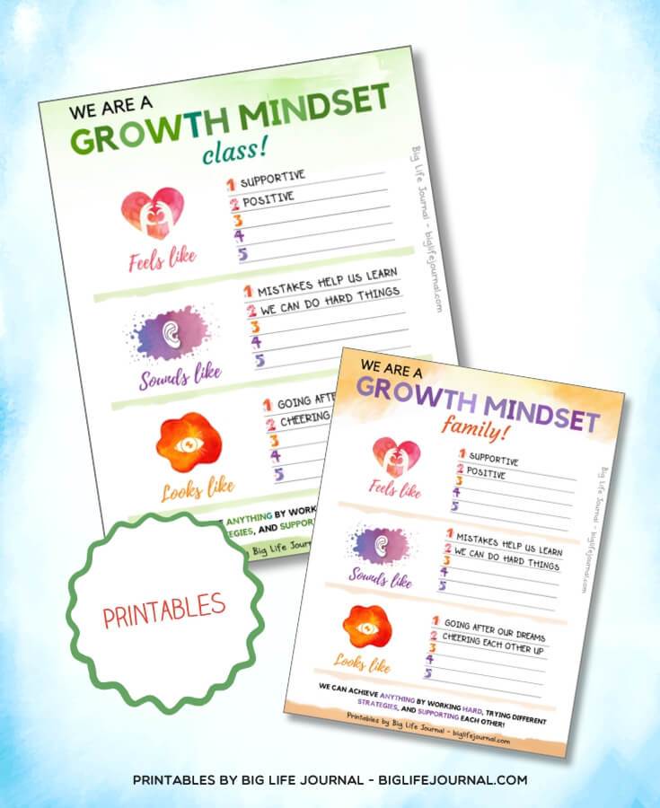 We are a Growth Mindset - Big Life Journal